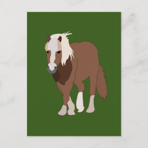 Häst Natur Djur Vykort