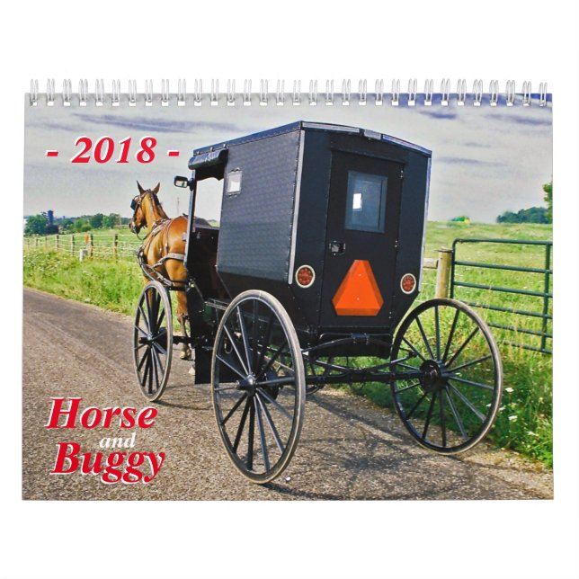 Häst och buggy kalender (Omslag)
