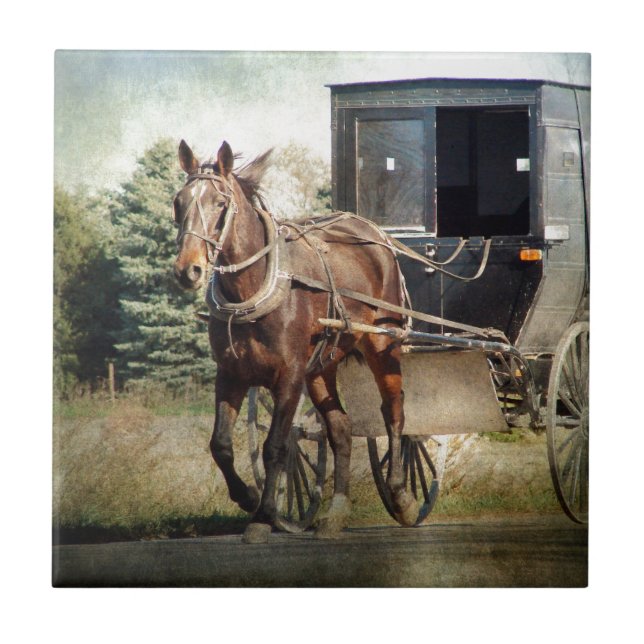 Häst och buggy på Rural Iowa Kakelplatta (Framsidan)