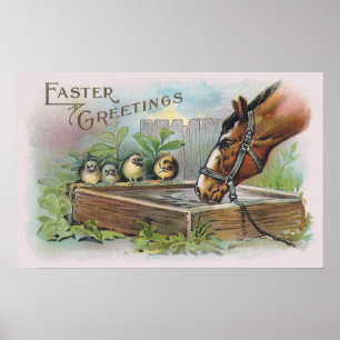 Häst och Chickar Vintagen Påsk Poster