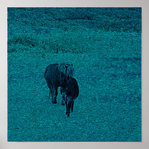 Häst och Donkey Poster