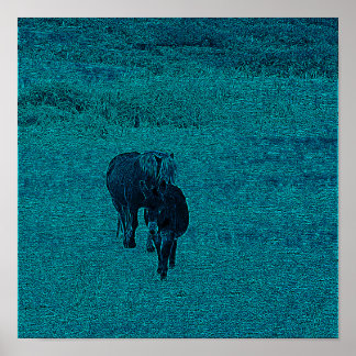 Häst och Donkey Poster