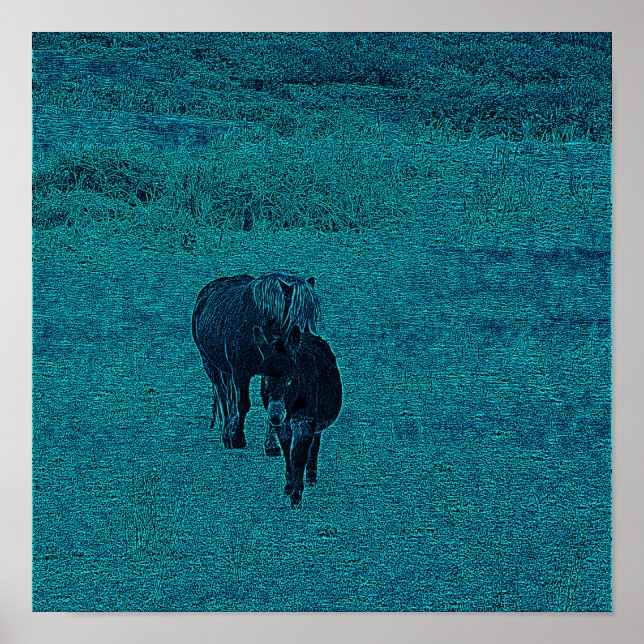 Häst och Donkey Poster (Framsidan)