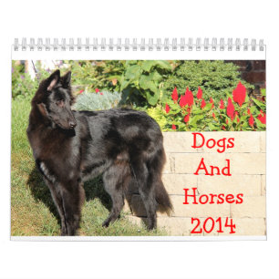 Häst- och för hundar 2014 kalender