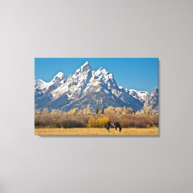 Häst och Grand Tetons, Moose Head Ranch Canvastryck (Framsida)