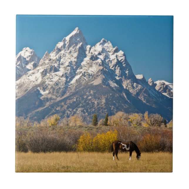 Häst och Grand Tetons, Moose Head Ranch Kakelplatta (Framsidan)