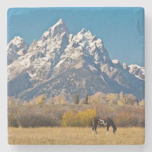 Häst och Grand Tetons, Moose Head Ranch Underlägg Sten (Framsidan)
