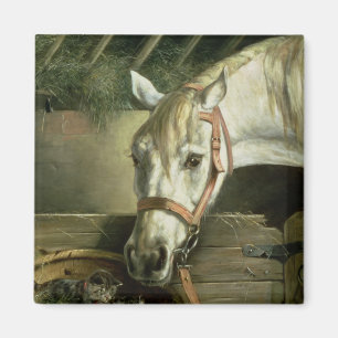 Häst och kattungar, 1890 magnet