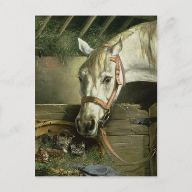 Häst och kattungar, 1890 vykort (Framsida)