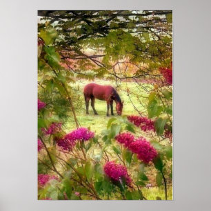 Häst och lilacs poster
