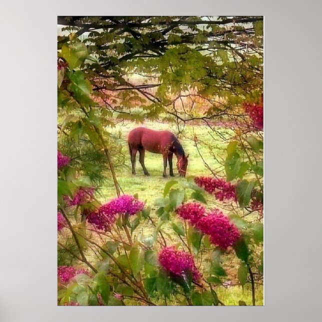 Häst och lilacs poster (Framsidan)