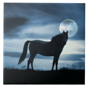 Häst och Måne Art Kakelplatta