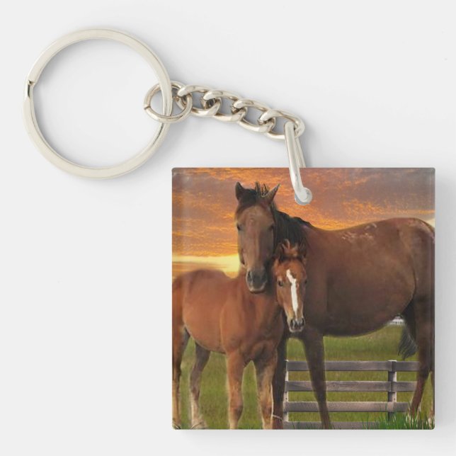 häst och ponny (Framsidan)
