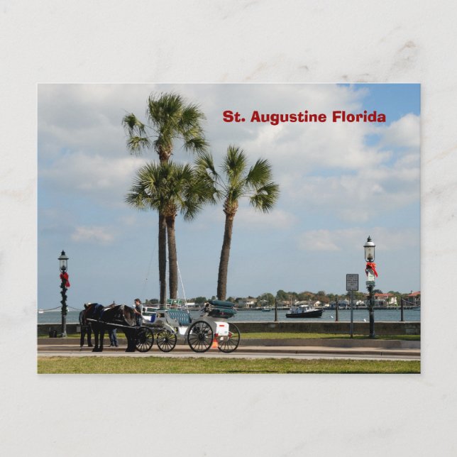 häst och transport av augustine florida vykort (Framsida)
