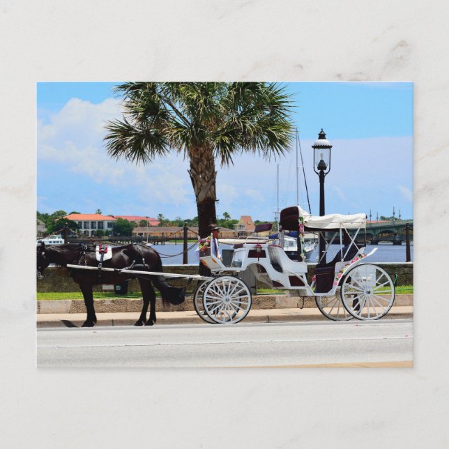 Häst och vagn St. Augustine, Fl. Vykort (Framsida)