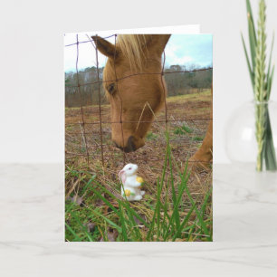 Häst och Vår-blomman Bunny Helgkort