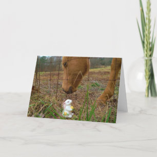 Häst och Vår-blomman Bunny Helgkort