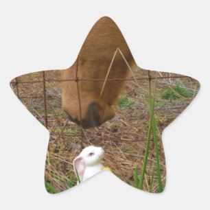 Häst och Vår-blomman Bunny Stjärnformat Klistermärke