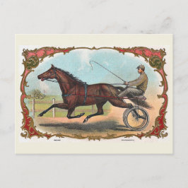 Häst på Hjul Vintage Horse Tävla Vykort