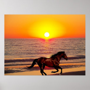 Häst på solnedgången poster