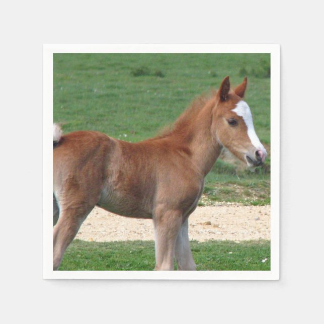 Häst Pappersservett (Framsidan)