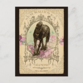 Häst Poeme - vykort