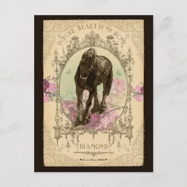 Häst Poeme - vykort (Framsida)