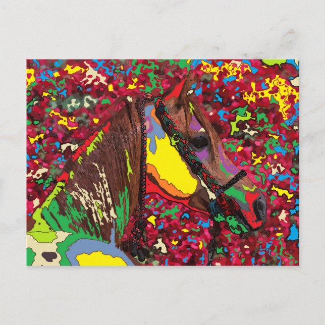 häst Porträtt 7 Vykort (Framsida)