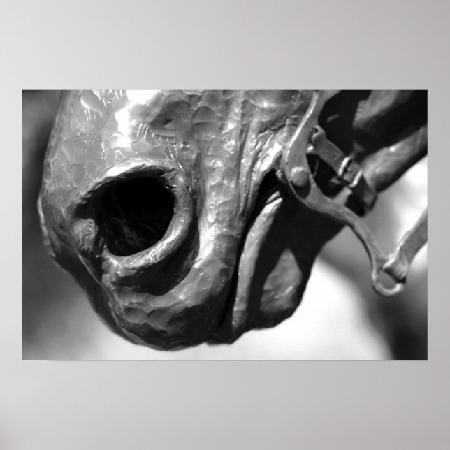 Häst Poster (Framsidan)