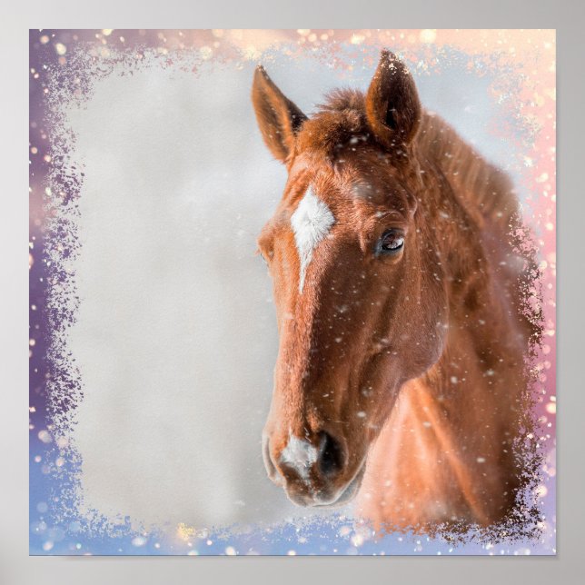 Häst Poster (Framsidan)