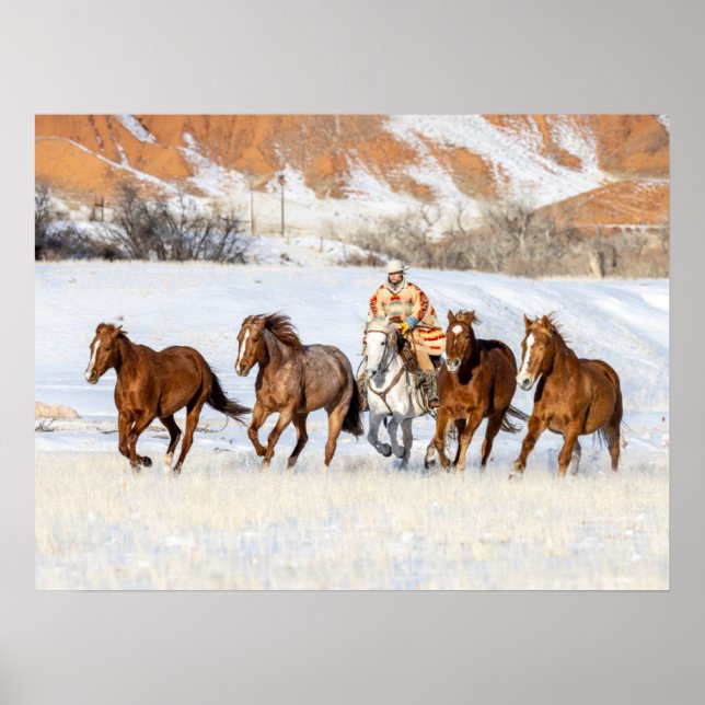 Häst ranch, Wrangler och hästar Poster (Framsidan)