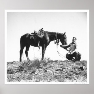 Häst som äter från cowboys hatt poster