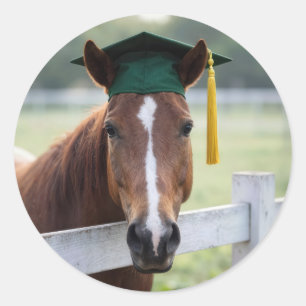Häst som bär en grön examensmössa runt klistermärke