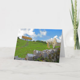 Häst som betar på Irland-kort Kort