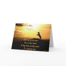 Häst som fostrar i solnedgångSilhouette