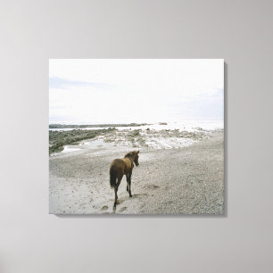 Häst som går på stranden canvastryck