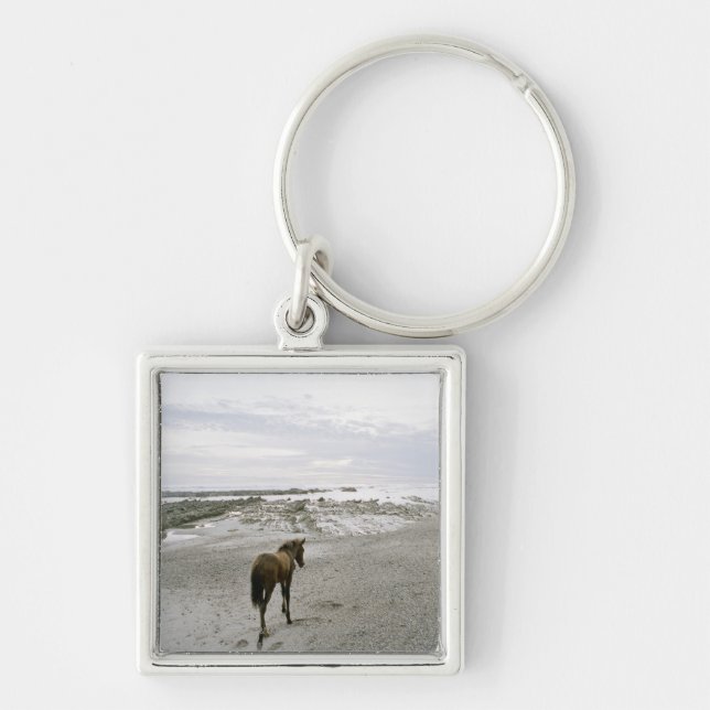 Häst som går på stranden fyrkantig silverfärgad nyckelring (Framsidan)