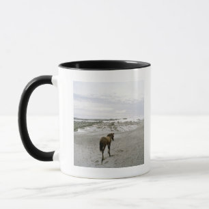 Häst som går på stranden mugg