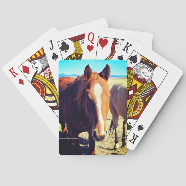 Häst som leker kort casinokort (Baksidan)