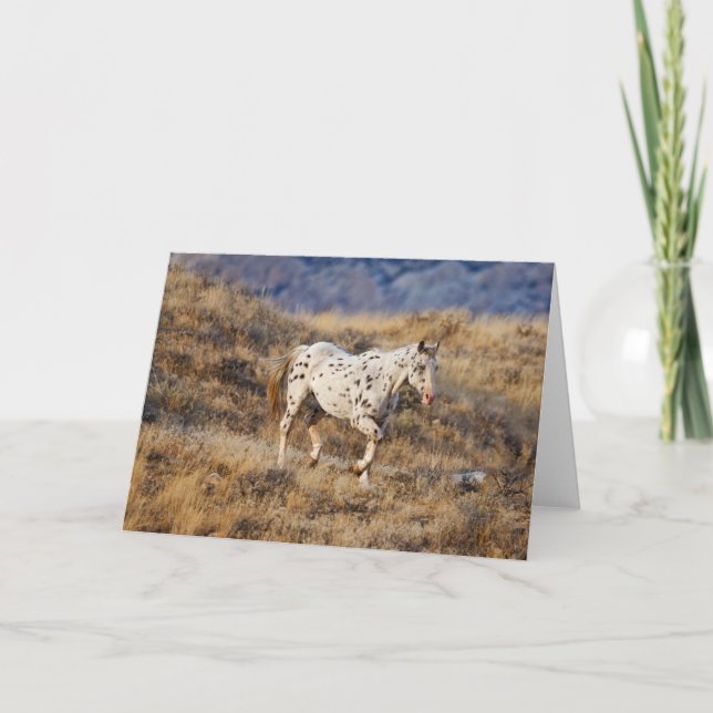 Häst strövar i de natursköna kullarna i Big Horn Kort (Framsida)