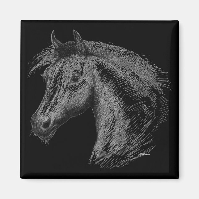 Häst: Svart Magnet (Framsidan)