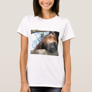 Häst Tee