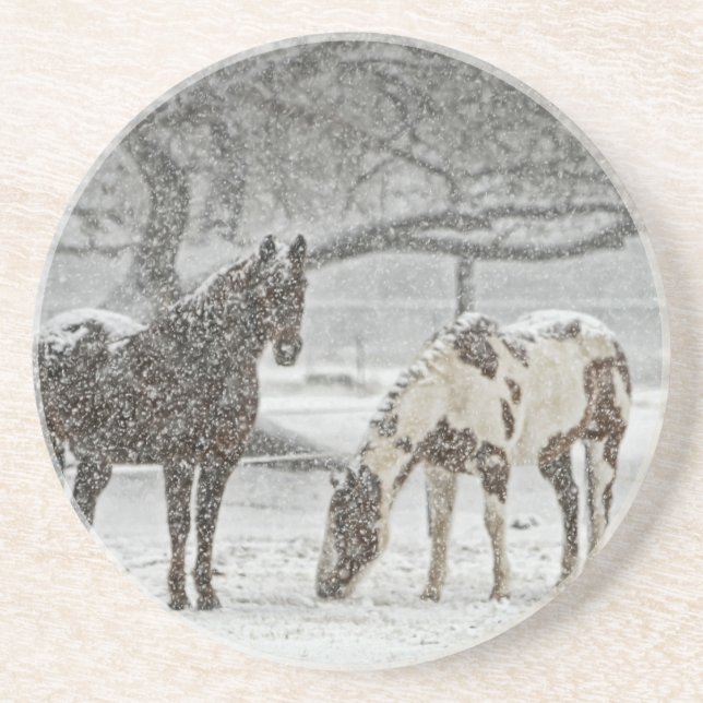 häst vinter snö gård ranch djur snöig frusen underlägg (Framsidan)