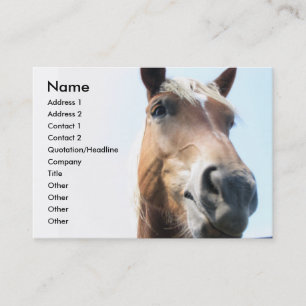 Häst Visitkort