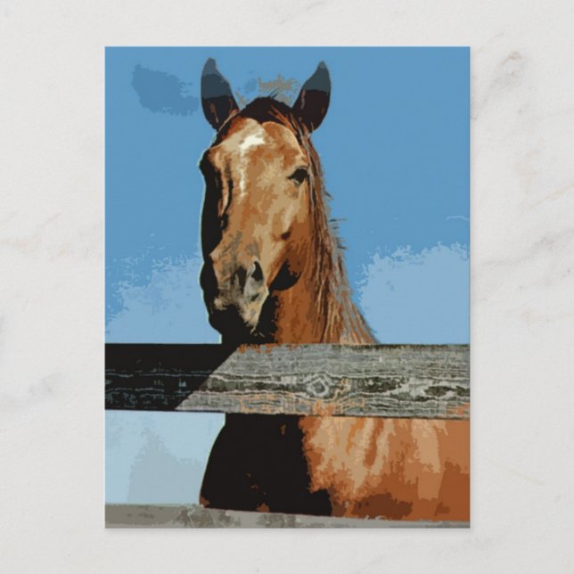Häst Vykort (Framsida)