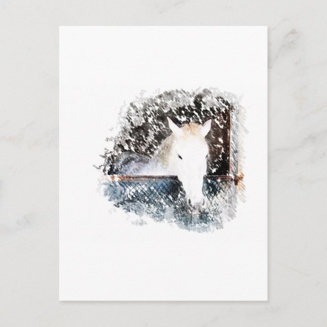Häst Vykort (Framsida)