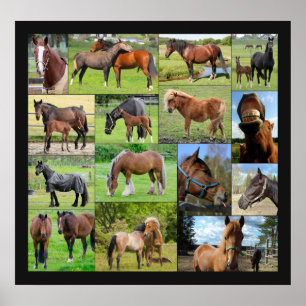 Hästälskare affisch för Collage
