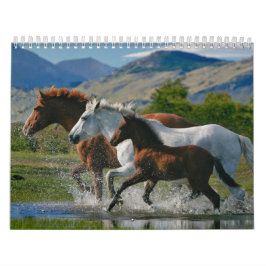 Hästälskare kalender