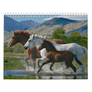 Hästälskare kalender