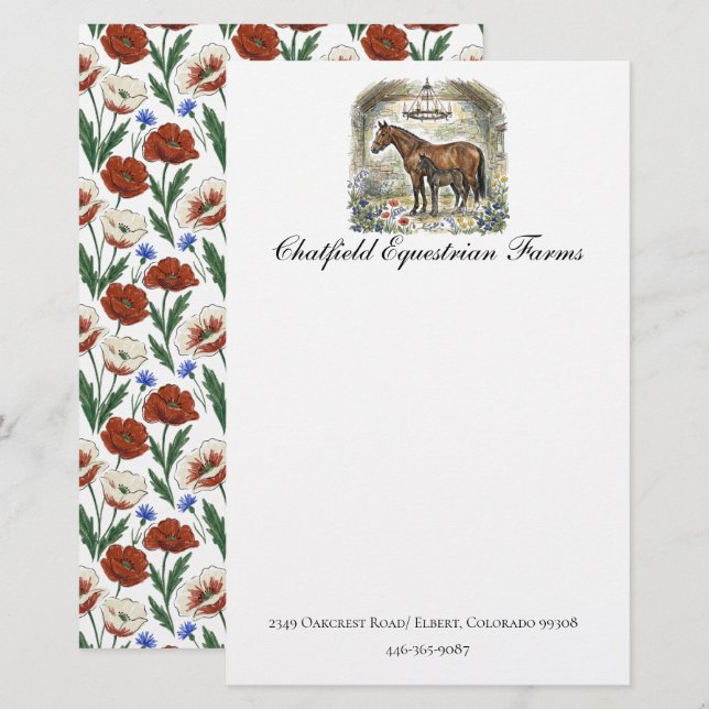 Hästälskare Present Brevpapper   (Fram/baksida)